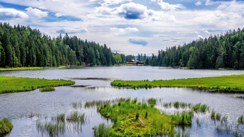 See mit grünen Inseln und Wald unter bewölktem Himmel